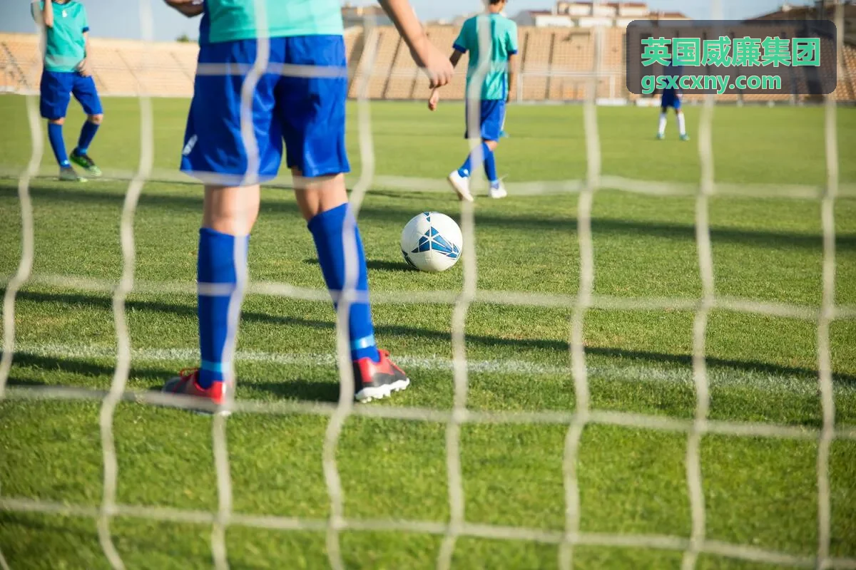 英国威廉集团能源咨询