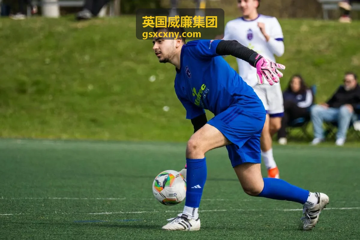 英国威廉集团资产投资