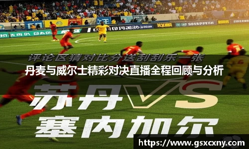 丹麦与威尔士精彩对决直播全程回顾与分析