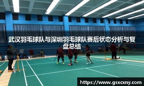 武汉羽毛球队与深圳羽毛球队赛后状态分析与复盘总结