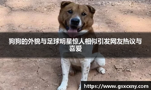 39153k1体育十年品牌值得信赖